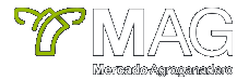 MAG